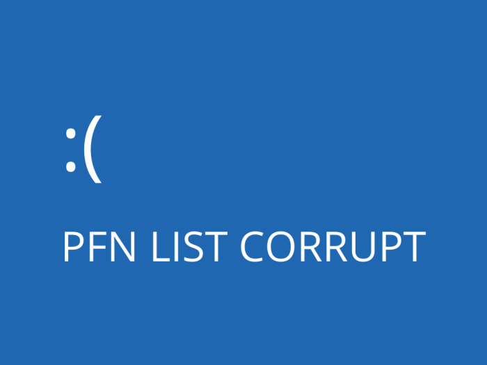 PFN List Corrupt Windows 10